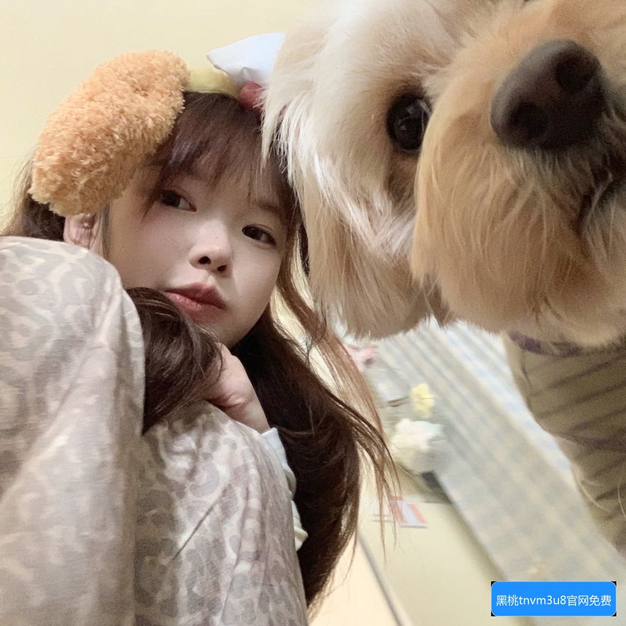 黑桃tnvm3u8最新版本怎么下载及其主要功能介绍