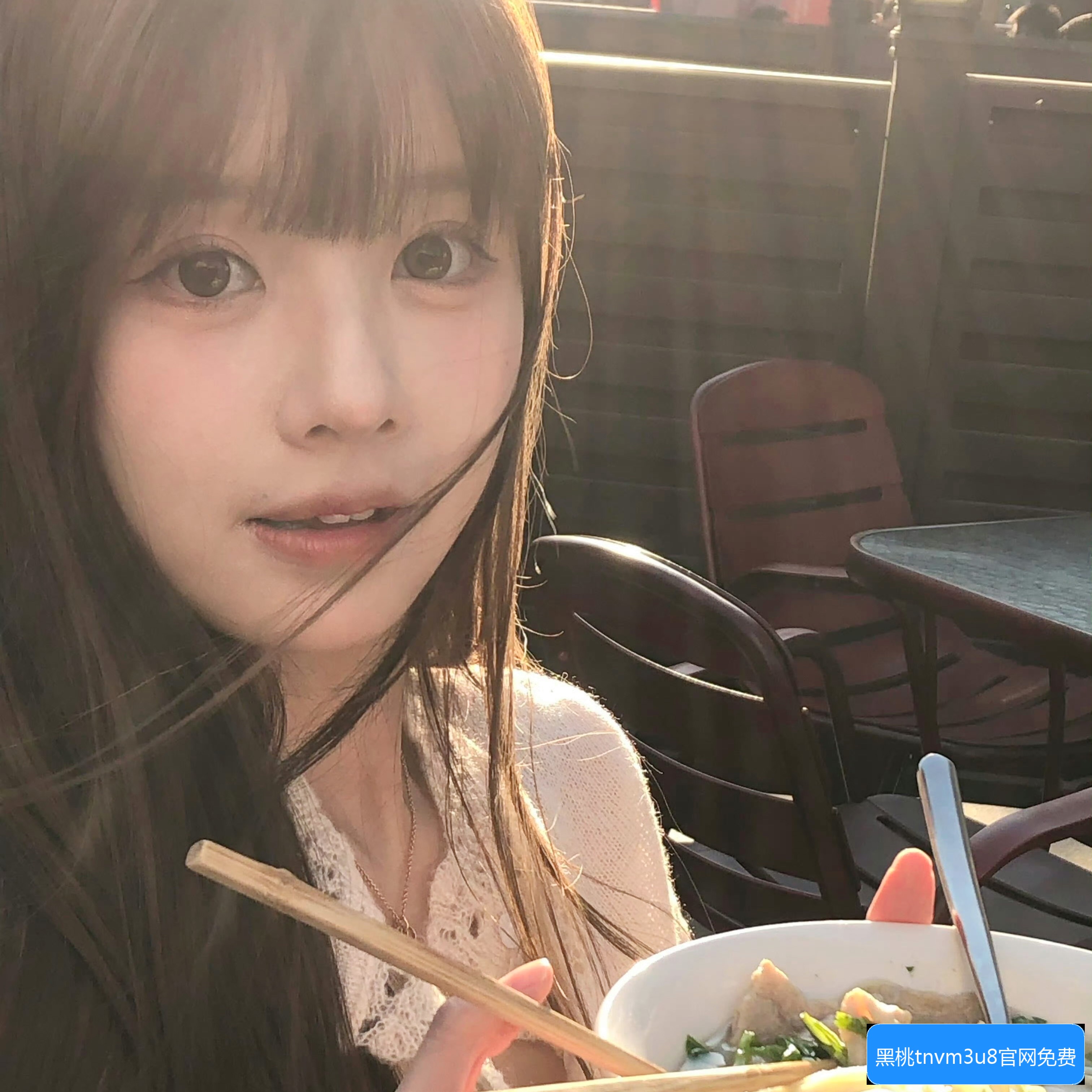 黑桃tnvm3u8官网最新版本怎么下载及使用指南