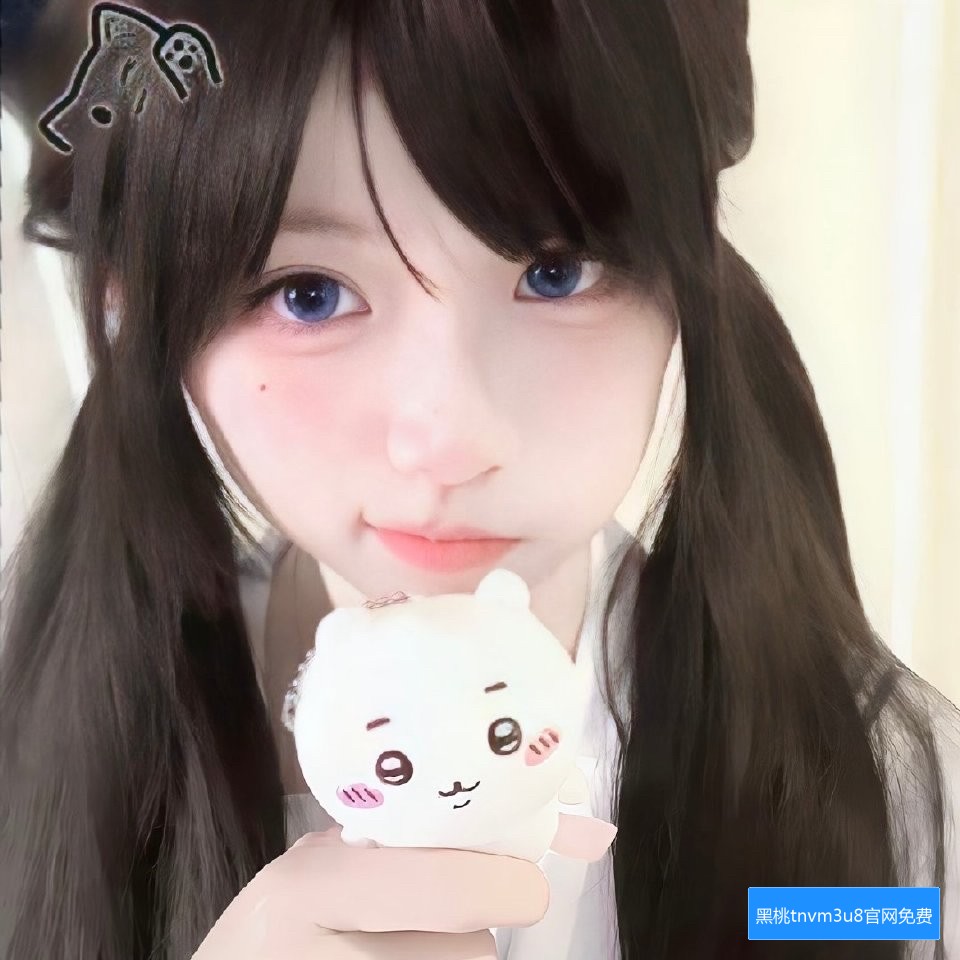 黑桃tnvm3u8官网最新版本怎么下载及使用指南